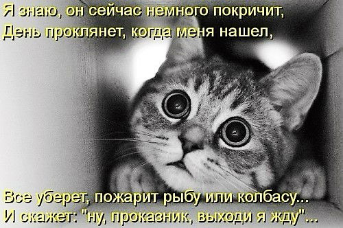 такие какие мы есть мы никому не нужны. Смотреть фото такие какие мы есть мы никому не нужны. Смотреть картинку такие какие мы есть мы никому не нужны. Картинка про такие какие мы есть мы никому не нужны. Фото такие какие мы есть мы никому не нужны