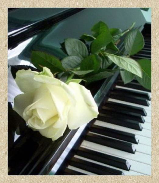 Алексей Краснов