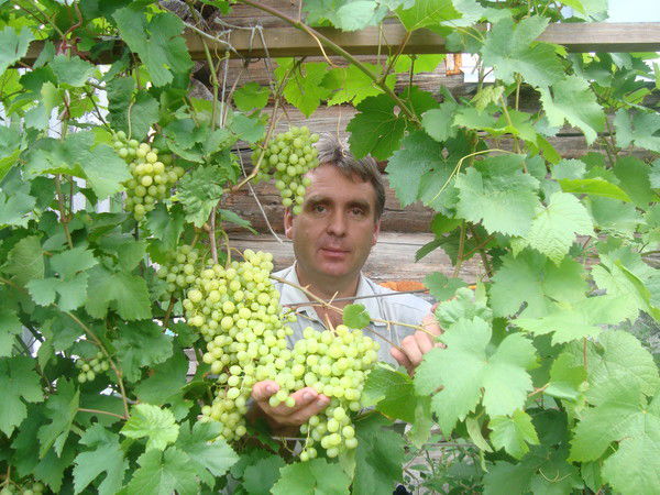 Александр Рыкалин