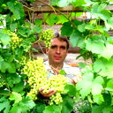 Александр Рыкалин