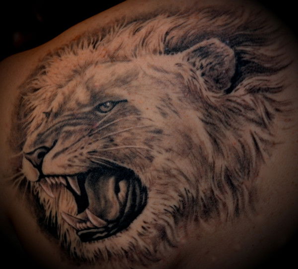 Андрей Серник