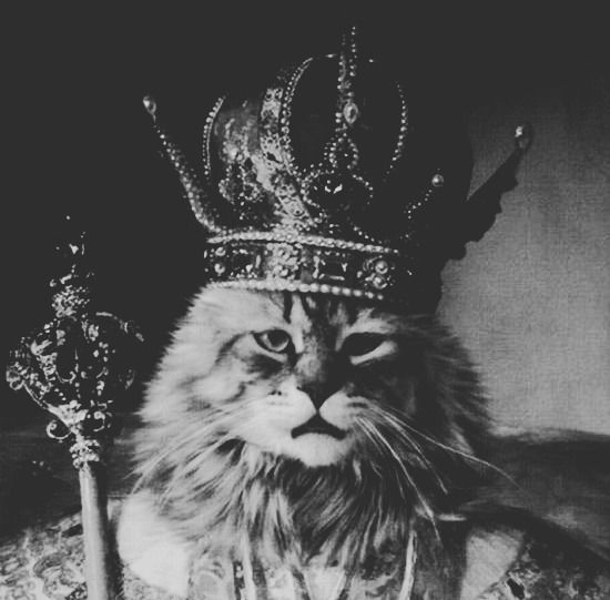 Сергей Цуркан