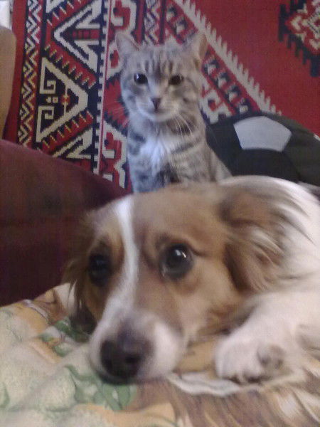 Наталья Шквырь