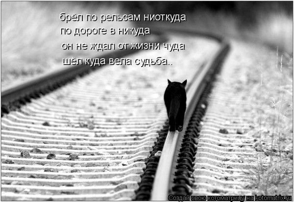 Алексей Борисов