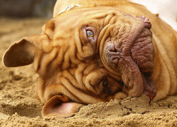 Дёрин Сергей