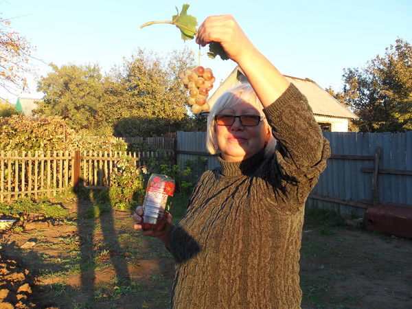 Телешова Наталья