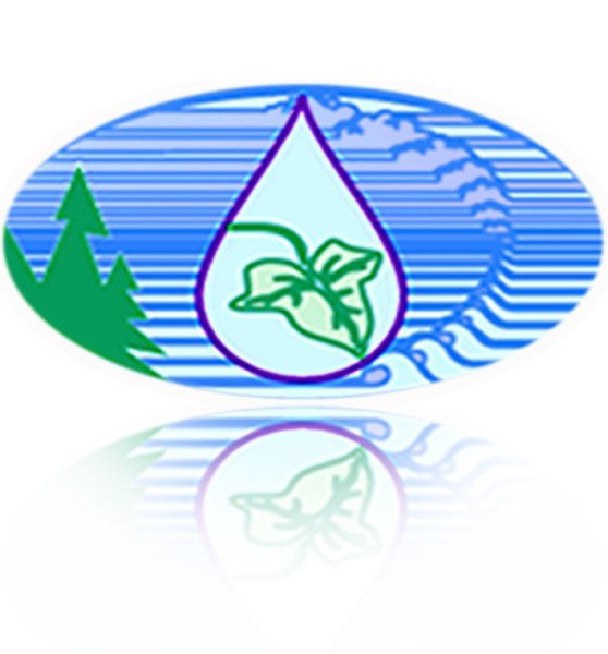 Владимир Бульгак