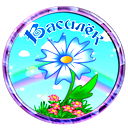 Мадоу №16 "василек"