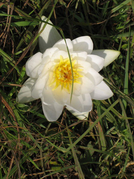 Алия Иманбаева