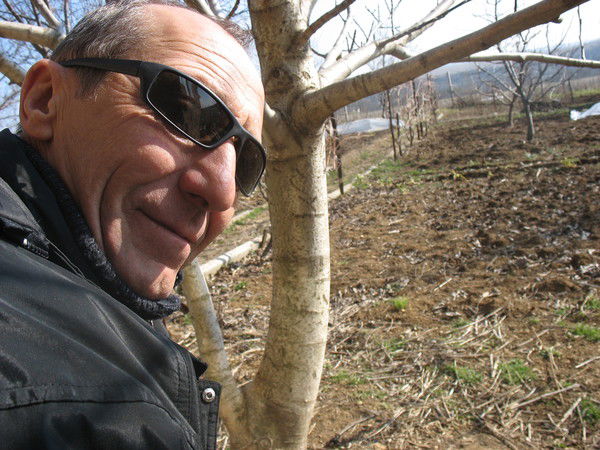 Александр Крольман