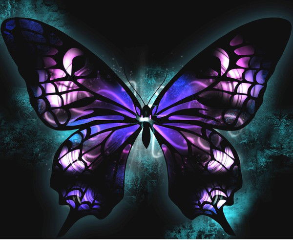 Екатерина Куйсокова