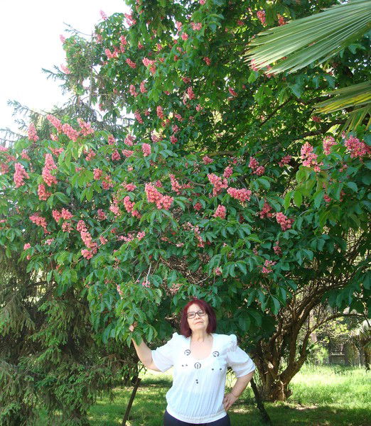 Алла Леонова