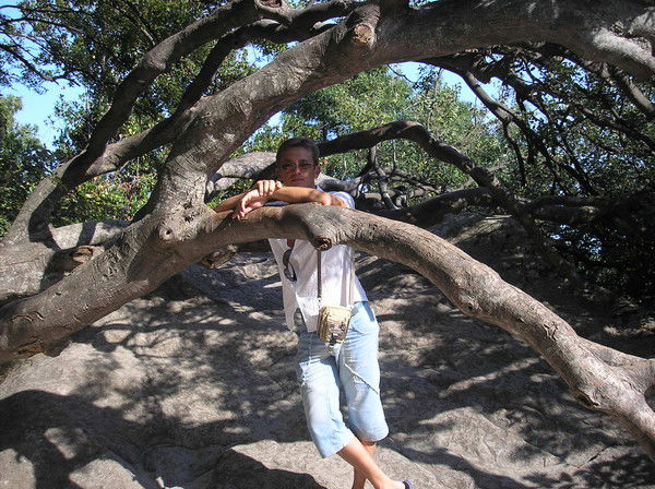 Игорь Мелихов