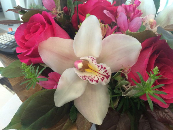 Оксана Ковалёва