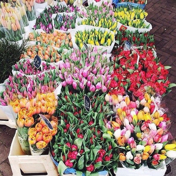 Екатерина Назаренко