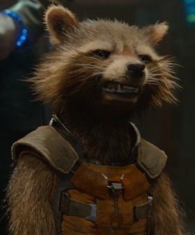 Дмитрий Зайцев