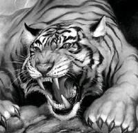 Сергей Гончар