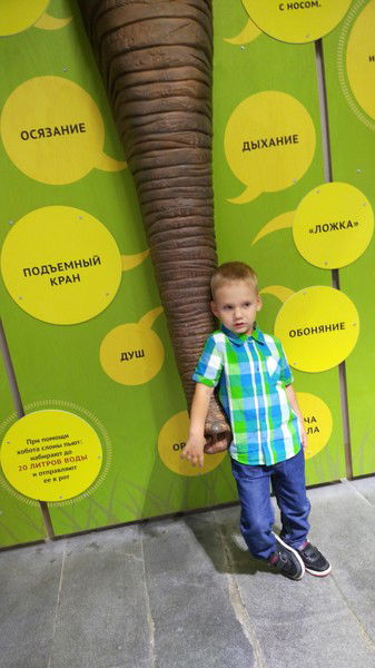 Вероника Козлова