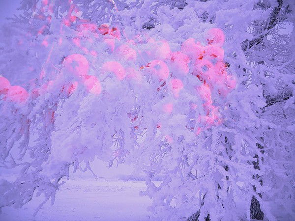 Гоарга 2 Участок