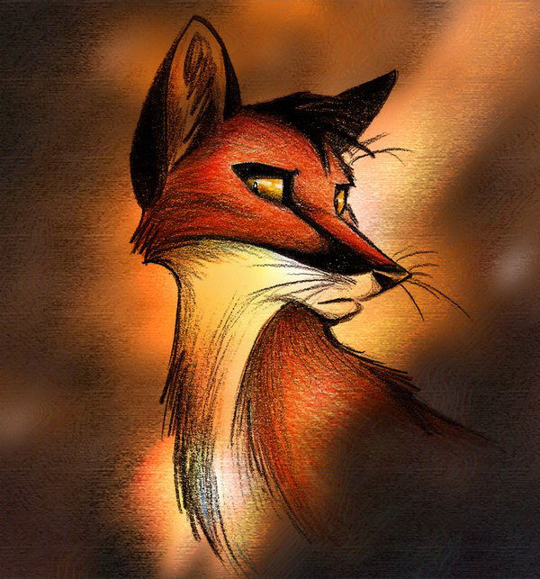 Наталья Алексеева