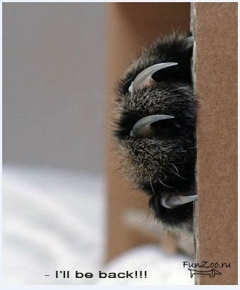 Виктор Усанин