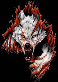 Саня Андрианов