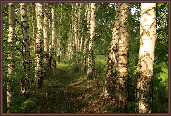 Людмила Логунова