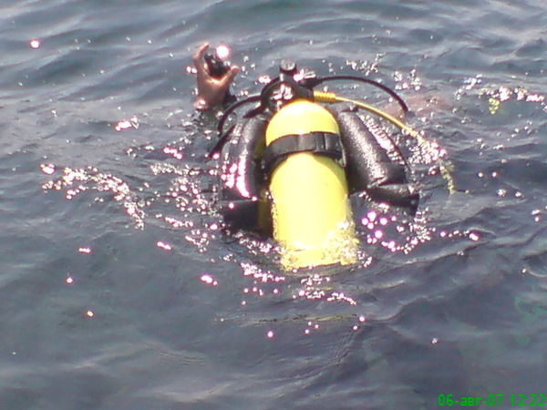 Дмитрий Карапетянц