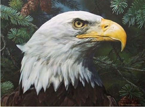 Сергей Бухонько