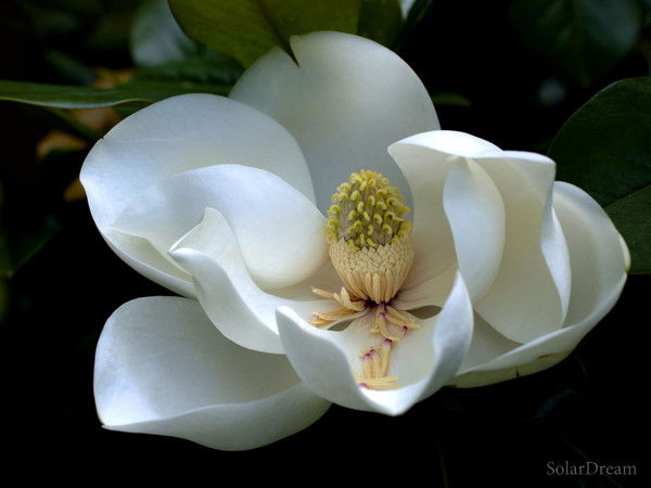 Татьяна Павленко