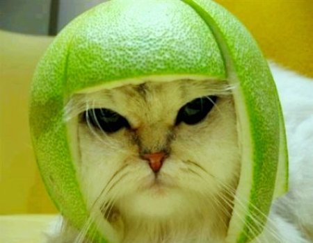 Рудик Ruuz.rudik