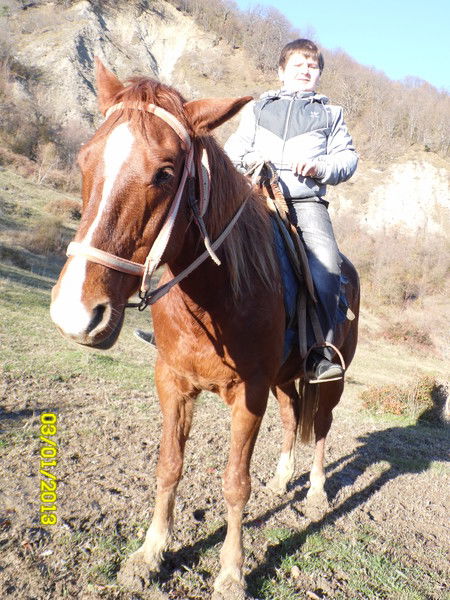 Неизвестно Неизвестно