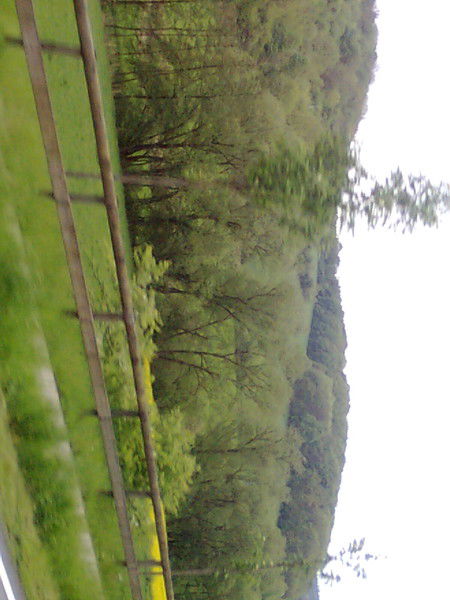 Натан Гольдберг