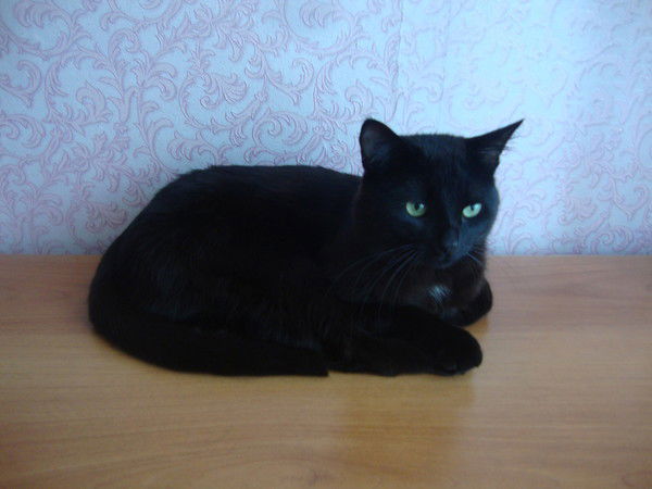 Ирина Файзулина