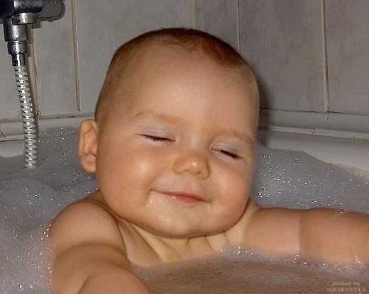 Андрей Шеин