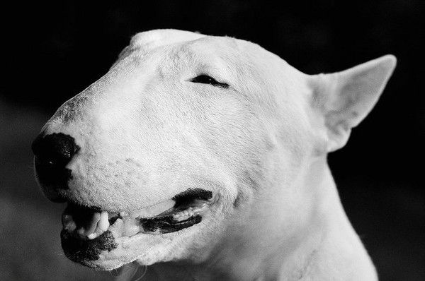 Альоша Власюк