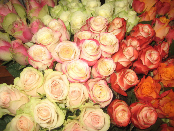 Юлия Кабанова