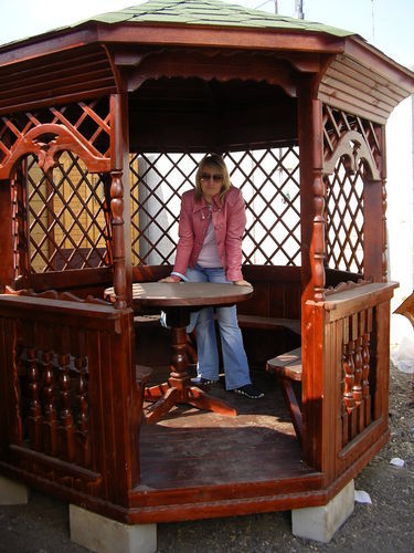 Елена Ильвичева