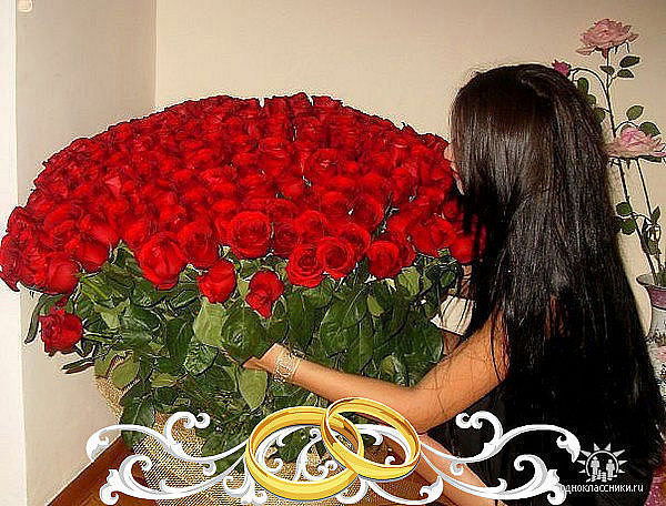 Виолочка -Н Ф 37 .