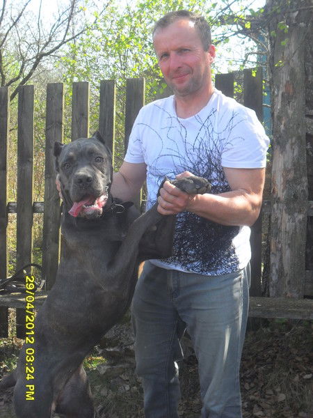 Сергей Кккк