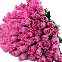 Наталья Щукина