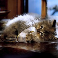 Валентина Иванова