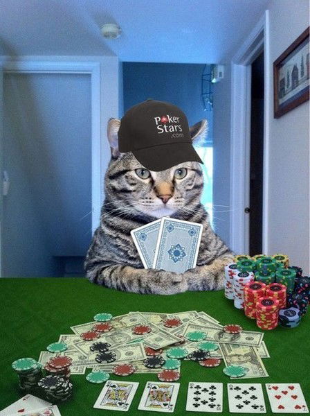 Данил Иванов