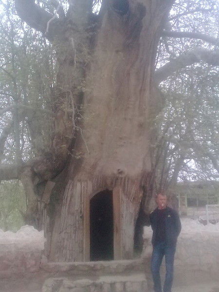 Сергей Шмырёв