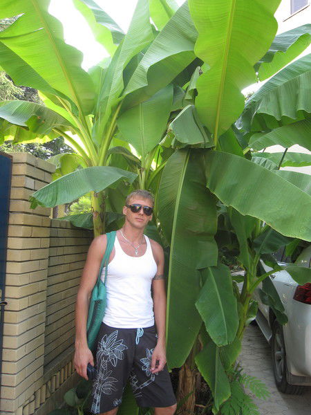 Андрей Энглерт