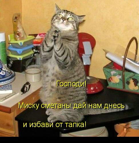 Наталья Кулиш