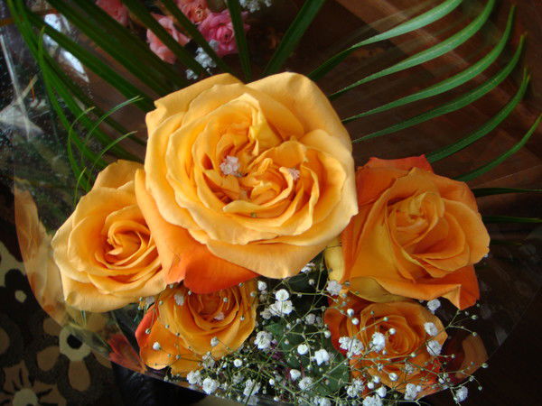 Ольга Липиева