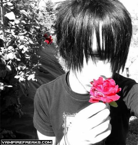 Индиго Индиго