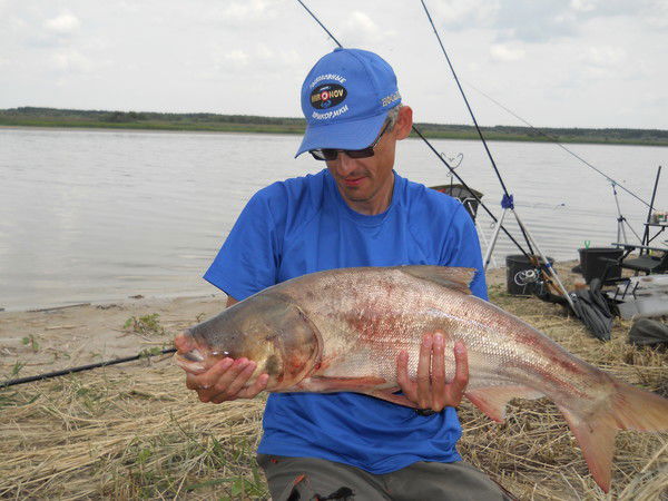 Георгий Ляшенко