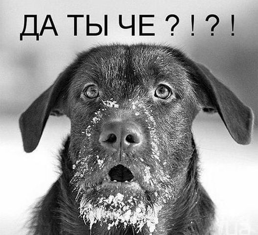 Андрей Дорожинский